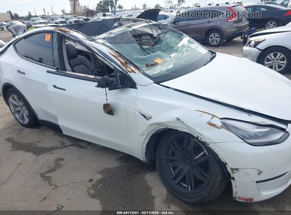 5YJYGDEE6MF231468 2021 TESLA MODEL Y White 