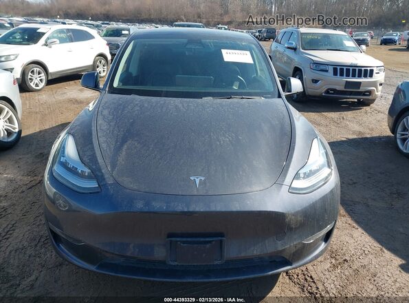 5YJYGDEE8MF209021 2021 TESLA MODEL Y Gray 