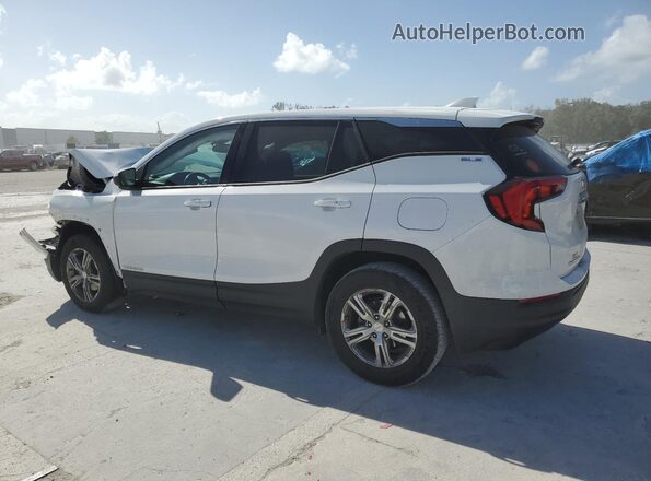 3GKALMEV2LL144409 2020 GMC TERRAIN White Հետևի աջ