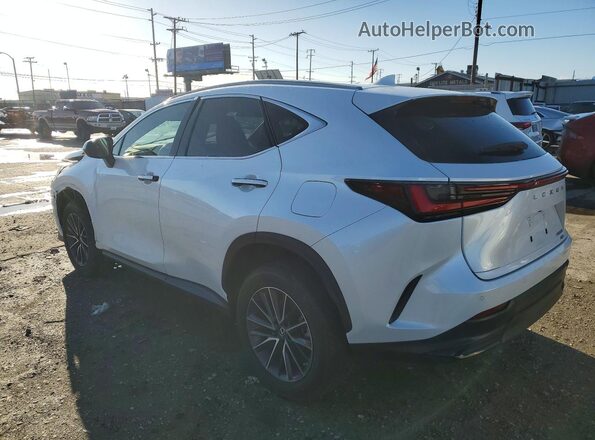 2T2GGCEZXNC004892 2022 LEXUS NX White Tył prawy