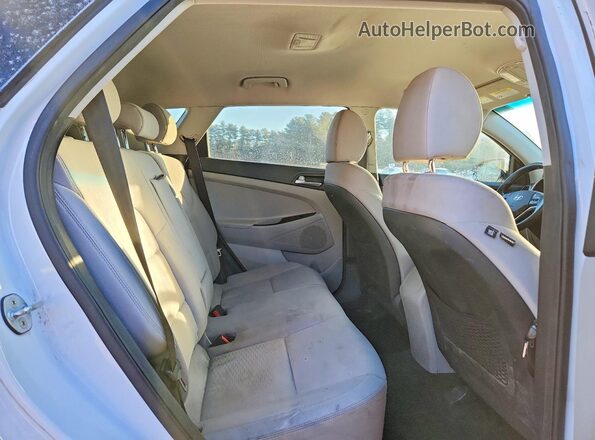 KM8J3CA47KU894651 2019 HYUNDAI TUCSON Белый 