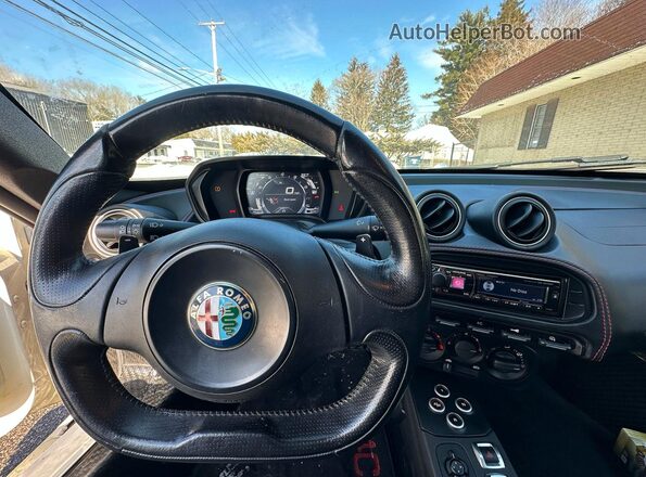 ZARBAAA41GM177436 2016 ALFA ROMEO 4C White Rear seats view