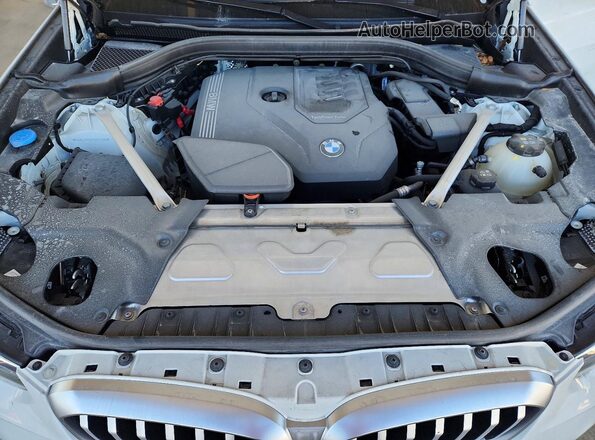 5UX43DP02R9X17156 2024 BMW X3 Белый 