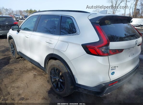 7FARS6H86SE020860 2025 HONDA CR-V White უკანა მარცხენა
