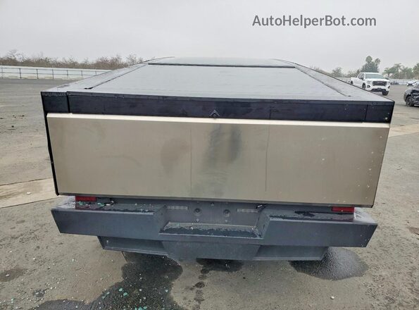 7G2CEHEDXSA070628 2025 TESLA CYBERTRUCK Silver Вид ззаду
