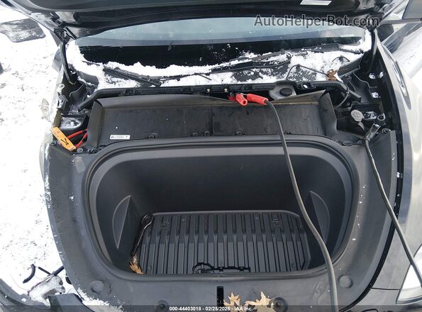 7SAYGAEE0NF381904 2022 TESLA MODEL Y Black Widok z tyłu