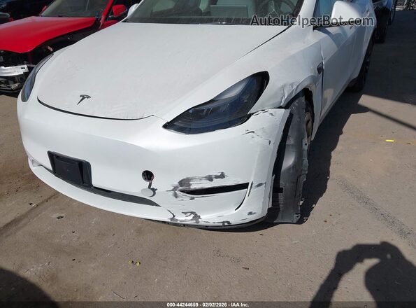 7SAYGAEEXPF800652 2023 TESLA MODEL Y White Widok z przodu