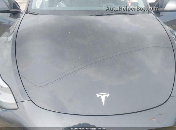 7SAYGDED3RF152664 2024 TESLA MODEL Y Black 