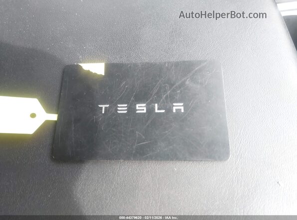 7SAYGDED3RF152664 2024 TESLA MODEL Y Black 