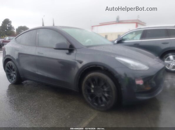 7SAYGDED5SF221182 2025 TESLA MODEL Y Gray უკანა სალონის ხედი