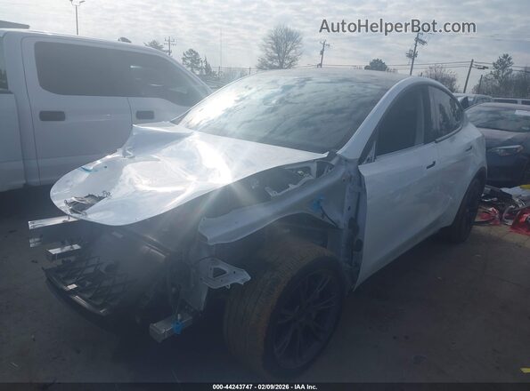 7SAYGDEE0SA348668 2025 TESLA MODEL Y White Przód lewy