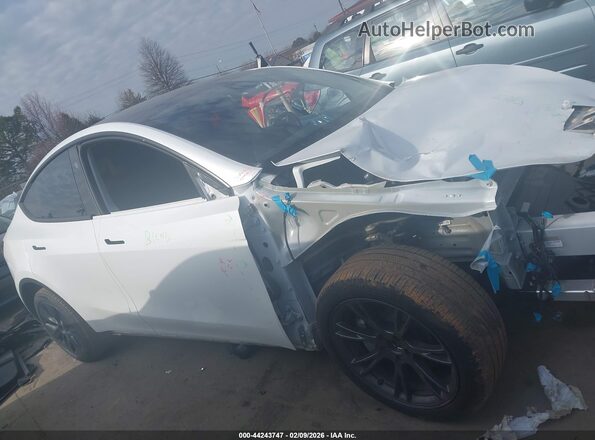 7SAYGDEE0SA348668 2025 TESLA MODEL Y White Widok wnętrza 360 stopni