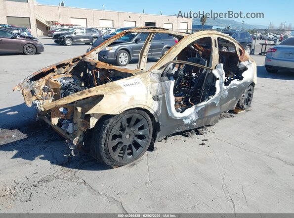7SAYGDEE1PF628688 2023 TESLA MODEL Y Black 
