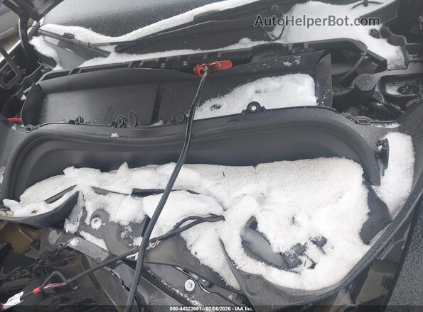 7SAYGDEE1RF204639 2024 TESLA MODEL Y Черный Вид сзади