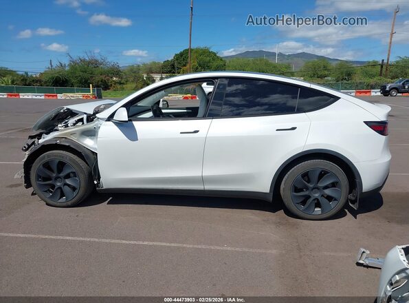 7SAYGDEE9PF685169 2023 TESLA MODEL Y White 