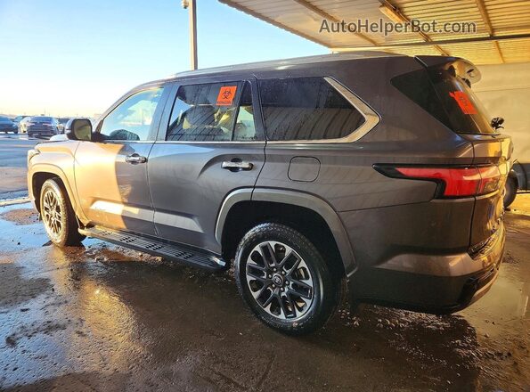7SVAAABA2SX062528 2025 TOYOTA SEQUOIA Gray Trasero izquierdo
