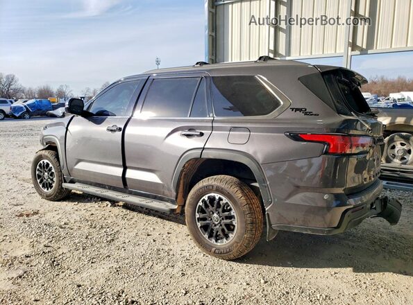 7SVAAABA4PX004430 2023 TOYOTA SEQUOIA Gray Tył lewy