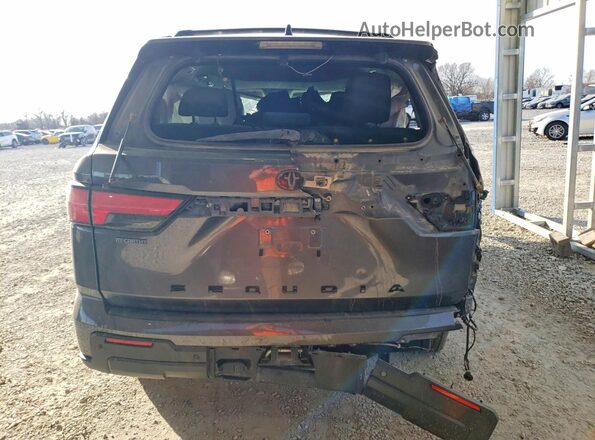 7SVAAABA4PX004430 2023 TOYOTA SEQUOIA Gray Widok z tyłu
