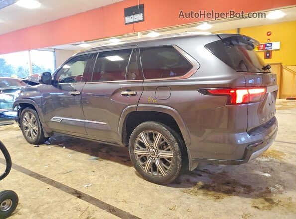 7SVAAABA5PX019180 2023 TOYOTA SEQUOIA Серый Задняя левая четверть