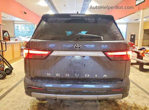 7SVAAABA5PX019180 2023 TOYOTA SEQUOIA Серый Вид сзади
