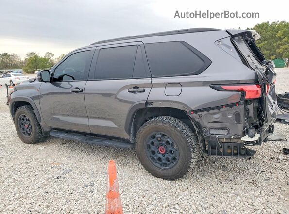 7SVAAABA6PX012478 2023 TOYOTA SEQUOIA Gray Задня ліва чверть