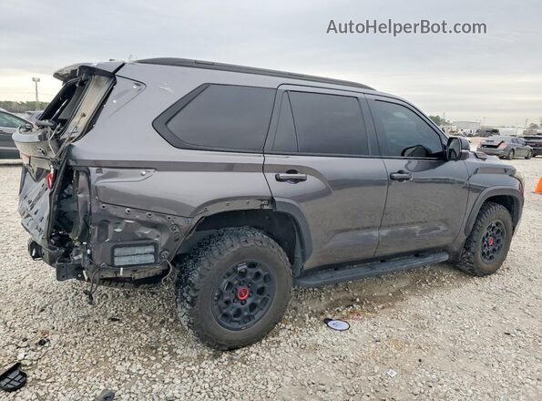 7SVAAABA6PX012478 2023 TOYOTA SEQUOIA Gray Задня права чверть