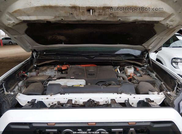 7SVAAABAXRX033515 2024 TOYOTA SEQUOIA White Вид ззаду