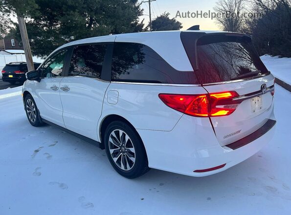 5FNRL6H71NB023976 2022 HONDA ODYSSEY Белый 