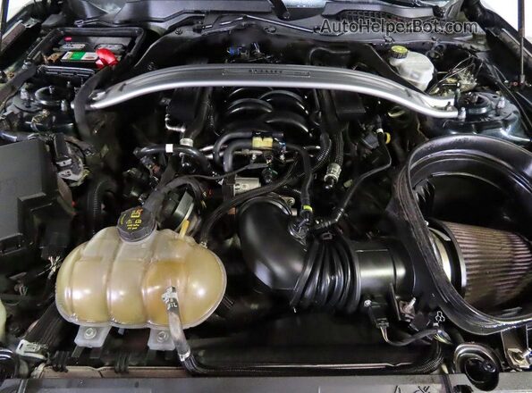1FA6P8K05K5501642 2019 FORD MUSTANG Green 
