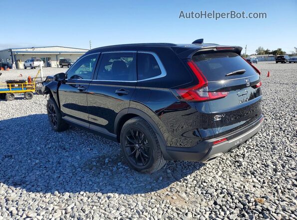 5J6RS5H89RL005244 2024 HONDA CRV Black 