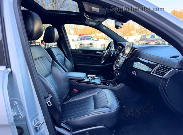 4JGDF6EEXJB178409 2018 MERCEDES-BENZ GLS Silver Հետևի նստատեղերի տեսք