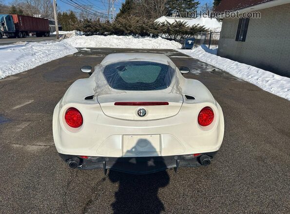 ZARBAAA41GM177436 2016 ALFA ROMEO 4C White 