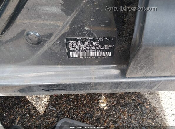 JF1GUABC6R8364380 2024 SUBARU IMPREZA Gray 