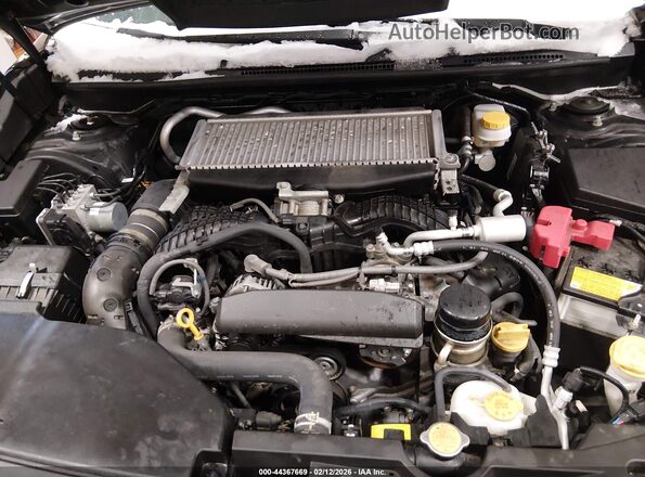JF1VBAB64R9813167 2024 SUBARU WRX Black Widok z tyłu