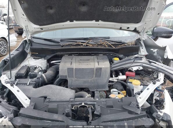 JF2SKAJC0RH518675 2024 SUBARU FORESTER Белый Вид сзади
