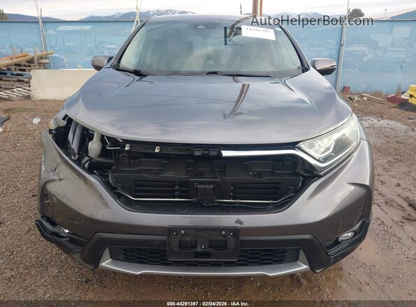 JHLRW2H59KX022304 2019 HONDA CR-V Gray უკანა სალონის ხედი
