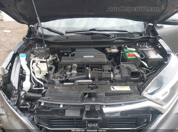 JHLRW2H59KX022304 2019 HONDA CR-V Gray უკანა ხედი