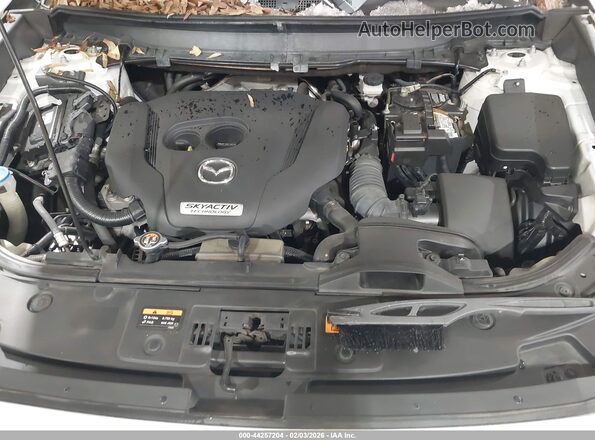 JM3TCACY3G0112059 2016 MAZDA CX-9 White Вид ззаду
