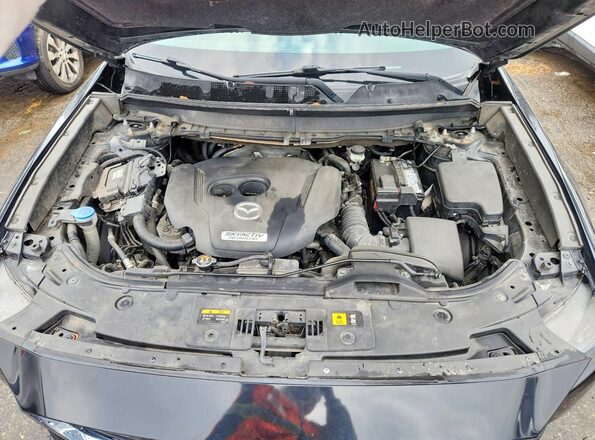 JM3TCBBY4G0109582 2016 MAZDA CX-9 Blue Vista interior trasera