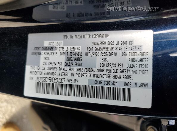 JM3TCBCY5N0607267 2022 MAZDA CX-9 Blue 