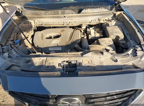 JM3TCBDY1P0651736 2023 MAZDA CX-9 Серый Вид сзади