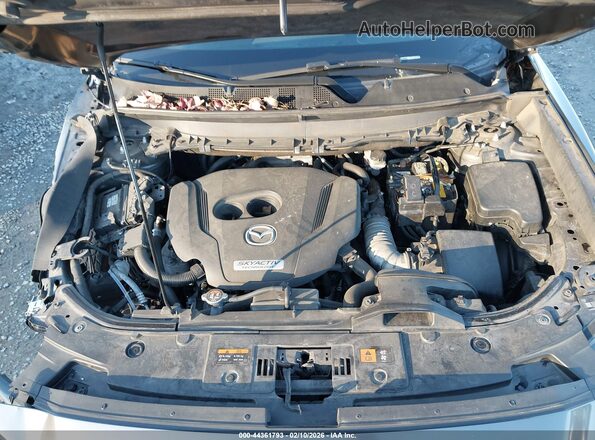 JM3TCBDY9H0131012 2017 MAZDA CX-9 Серый Вид сзади