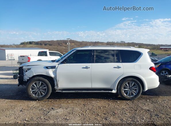 JN8AZ2AE3P9302036 2023 INFINITI QX80 Белый 