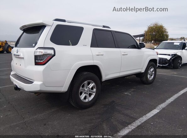 JTEMU5JR5R6291889 2024 TOYOTA 4RUNNER White Հետևի աջ