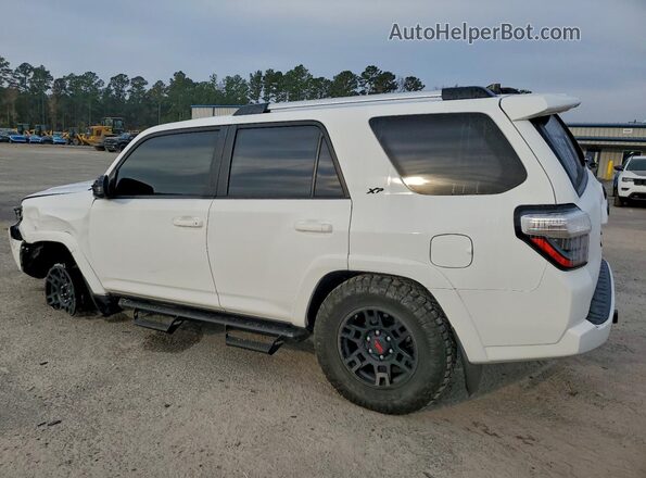 JTEMU5JR8R6222811 2024 TOYOTA 4RUNNER Белый Задняя левая четверть