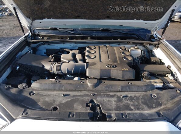 JTERU5JR9R6265446 2024 TOYOTA 4RUNNER White Widok z tyłu