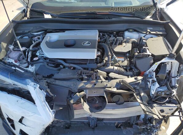 JTHB6JBH5R2167454 2024 LEXUS UX White Widok wnętrza z tyłu