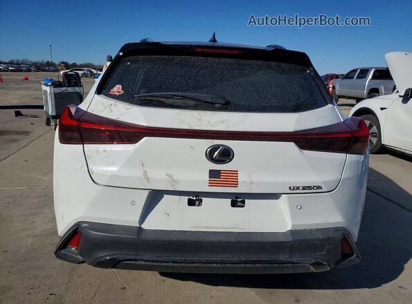 JTHB6JBH5R2167454 2024 LEXUS UX White Widok z tyłu