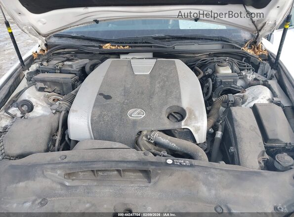 JTHCM1D2XG5014339 2016 LEXUS IS 300 White უკანა ხედი