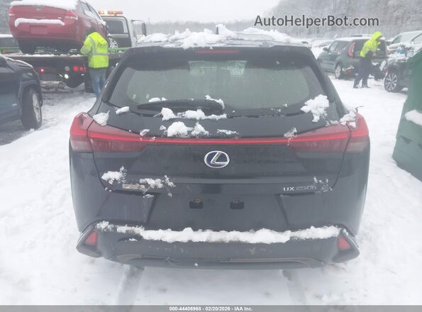 JTHE9JBH4L2034907 2020 LEXUS UX 250H Black 